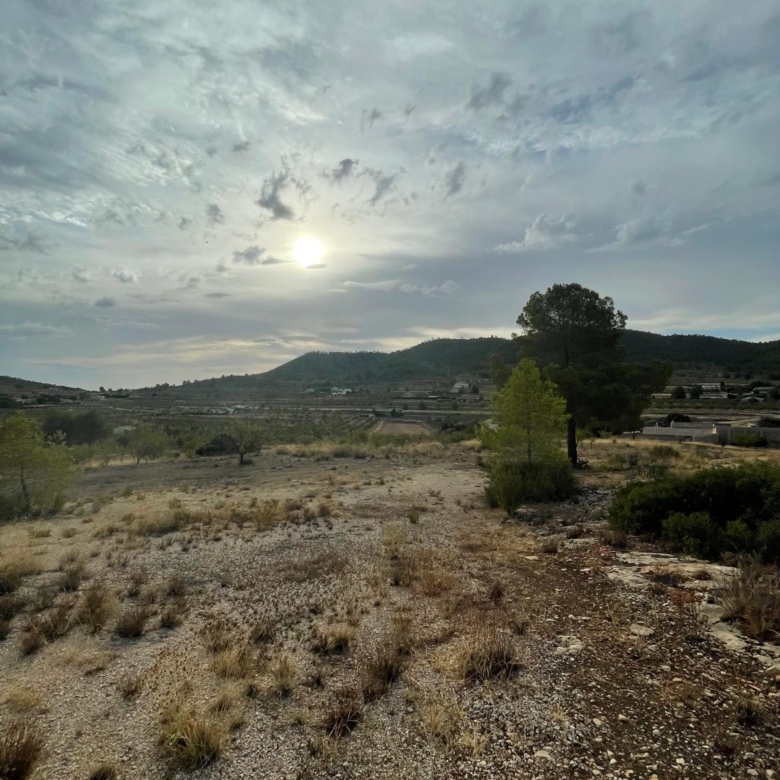 Land in Pinoso (Ref: MP6165)
