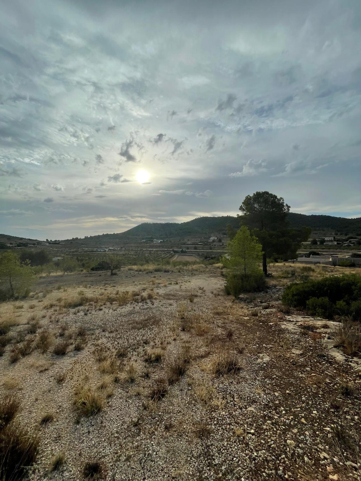 Land in Pinoso (Ref: MP6165)