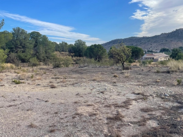 Land in Pinoso (Ref: MP6165)