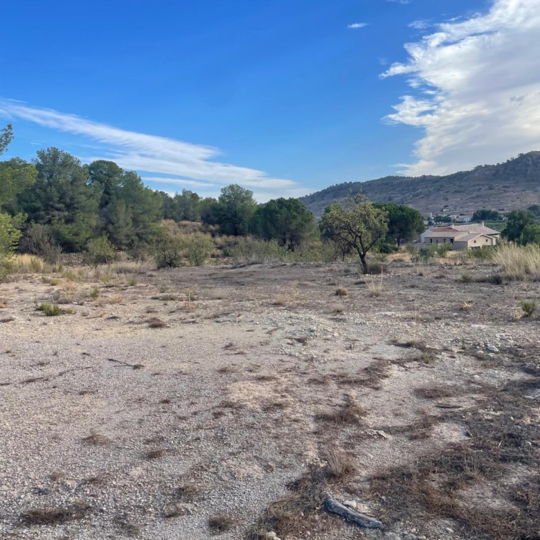 Land in Pinoso (Ref: MP6165)