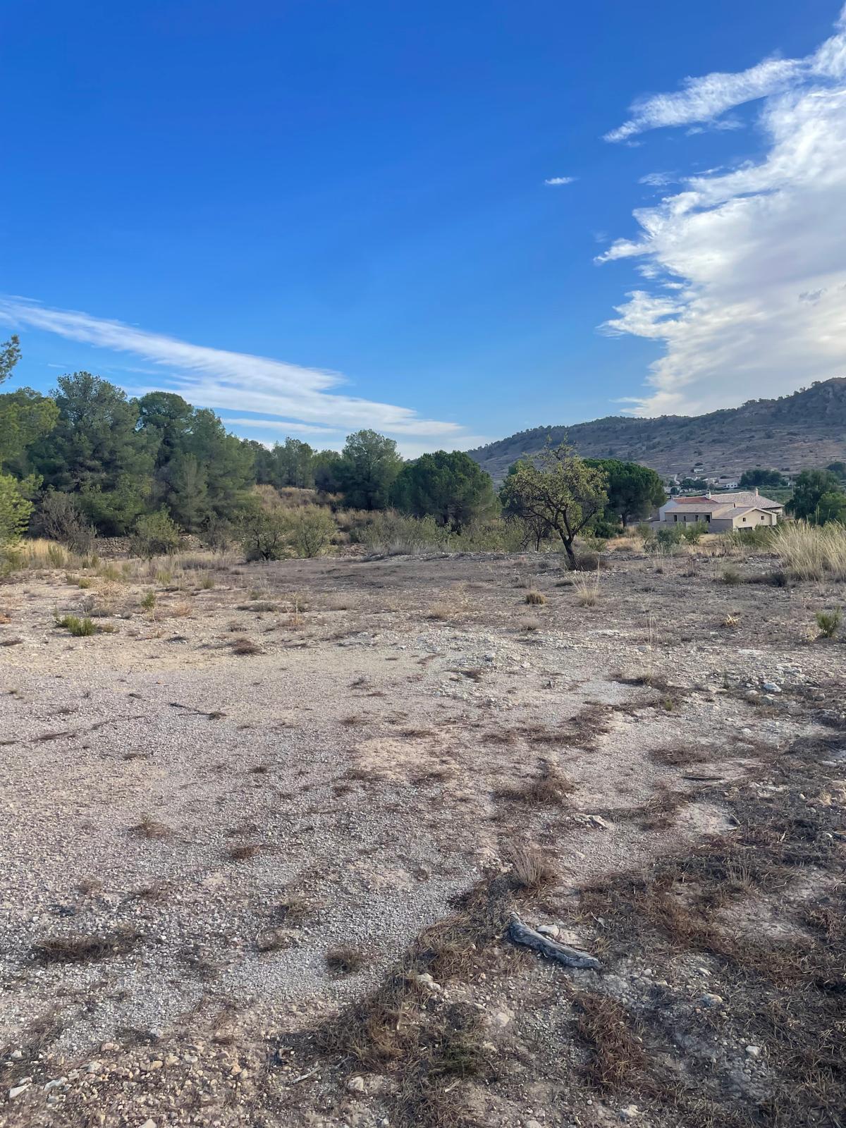 Land in Pinoso (Ref: MP6165)