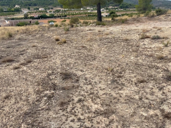 Land in Pinoso (Ref: MP6165)