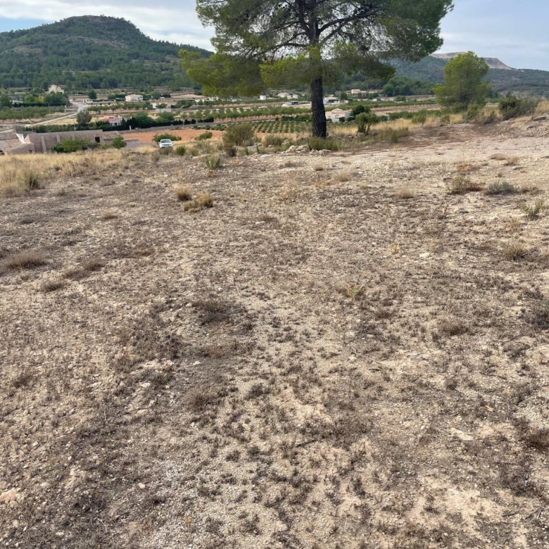 Land in Pinoso (Ref: MP6165)