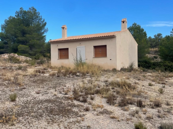 Land in Pinoso (Ref: MP6165)