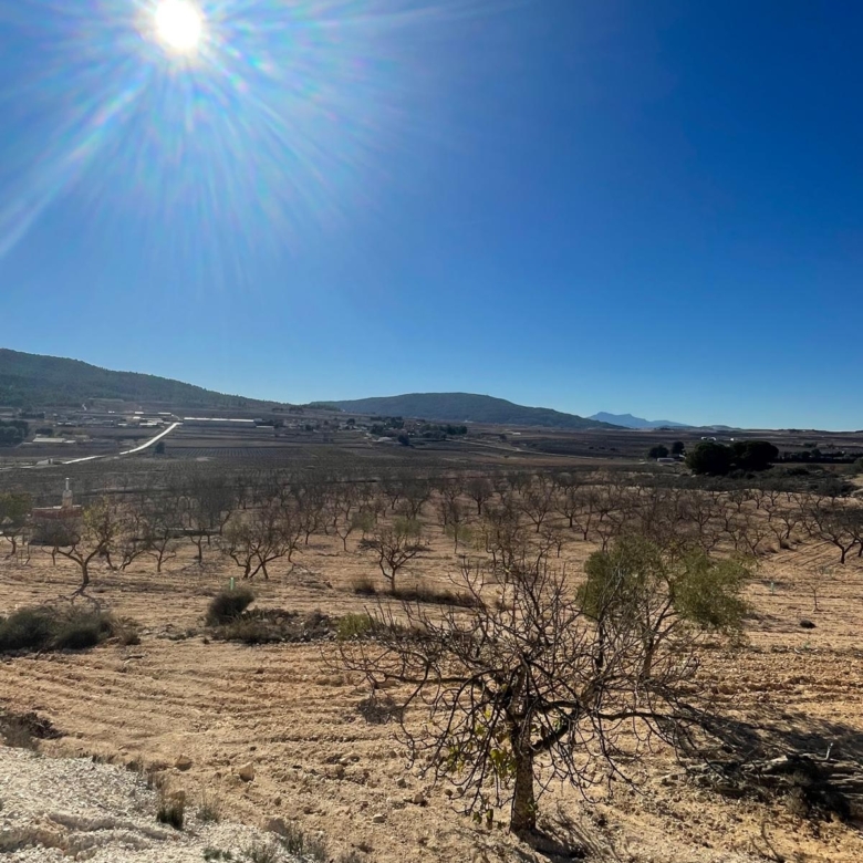 Land in Culebr&oacute;n (Ref: MP6463)
