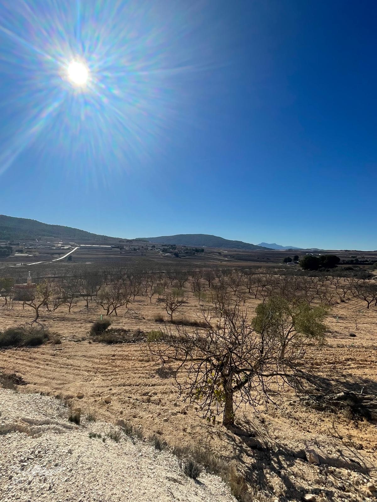 Land in Culebr&oacute;n (Ref: MP6463)