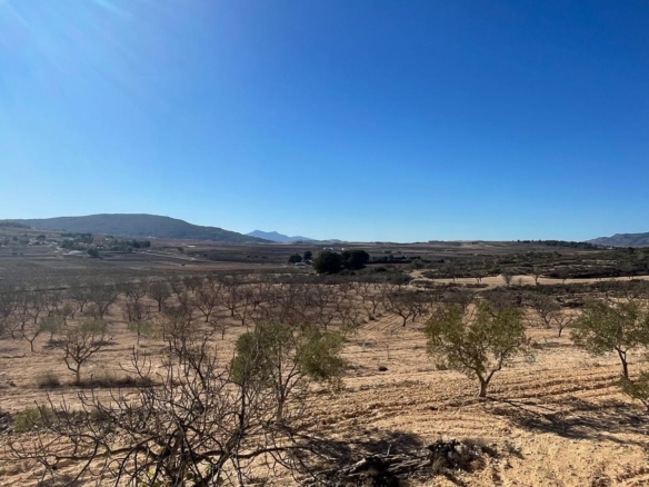 Land in Culebr&oacute;n (Ref: MP6463)