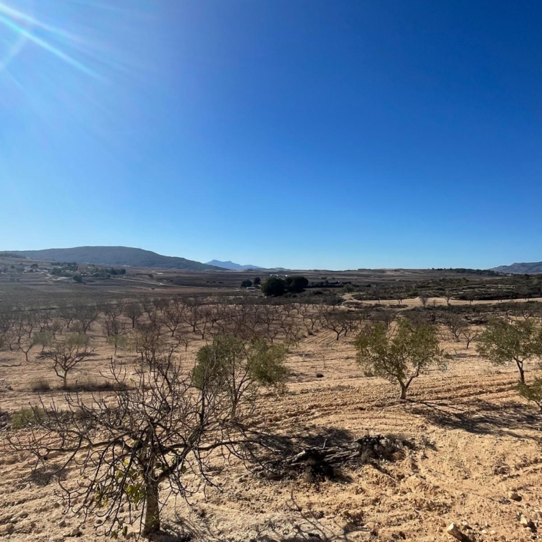 Land in Culebr&oacute;n (Ref: MP6463)