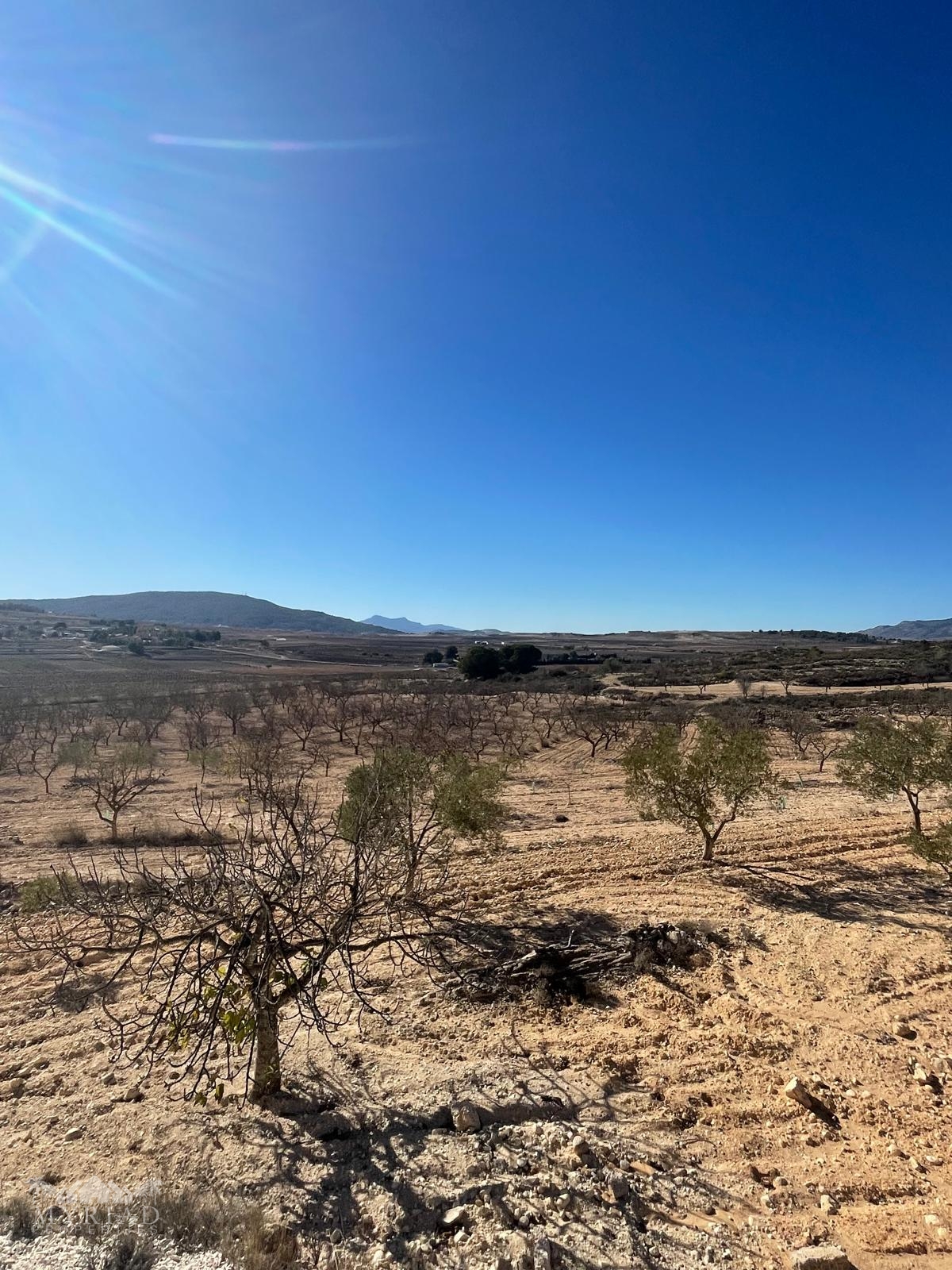 Land in Culebr&oacute;n (Ref: MP6463)