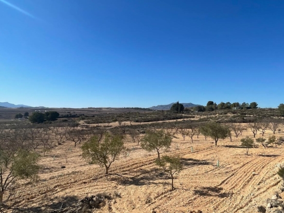 Land in Culebr&oacute;n (Ref: MP6463)