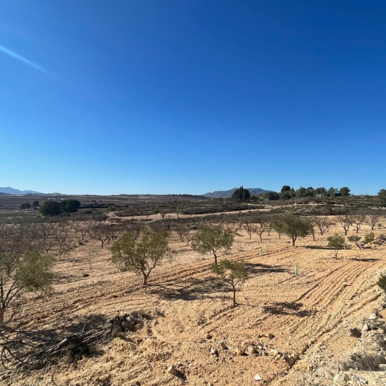 Land in Culebr&oacute;n (Ref: MP6463)