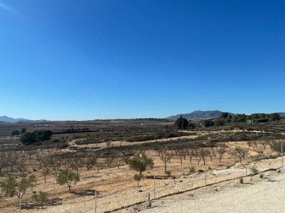 Land in Culebr&oacute;n (Ref: MP6463)
