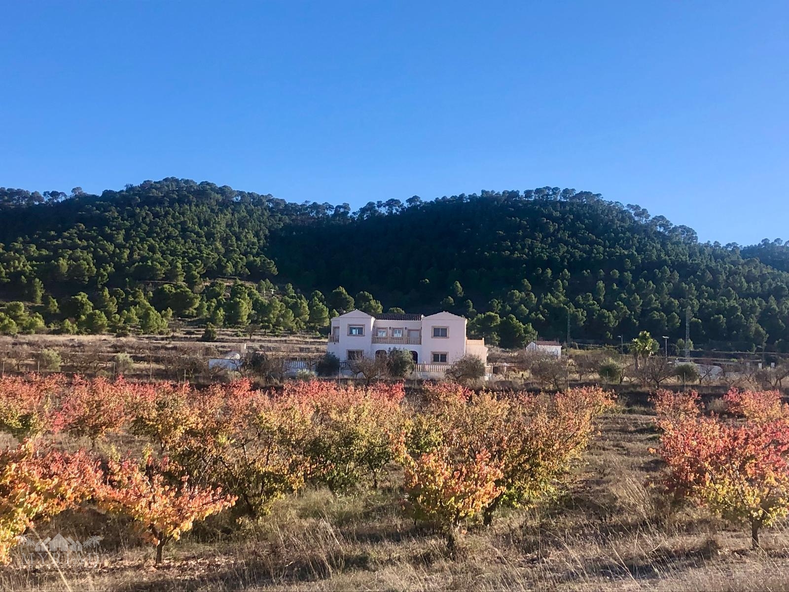 Villa in Encebras (Ref: MP6553)