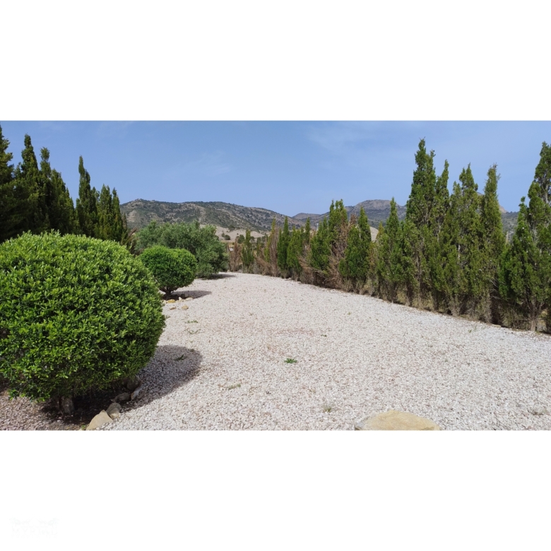 Villa in Fortuna (Ref: MP6558)