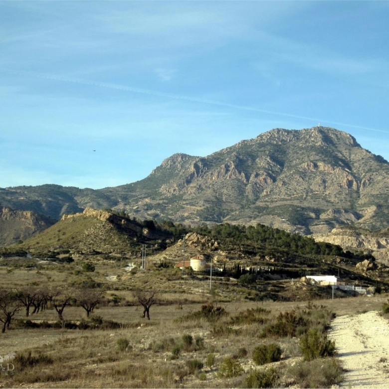 Villa in Fortuna (Ref: MP6558)