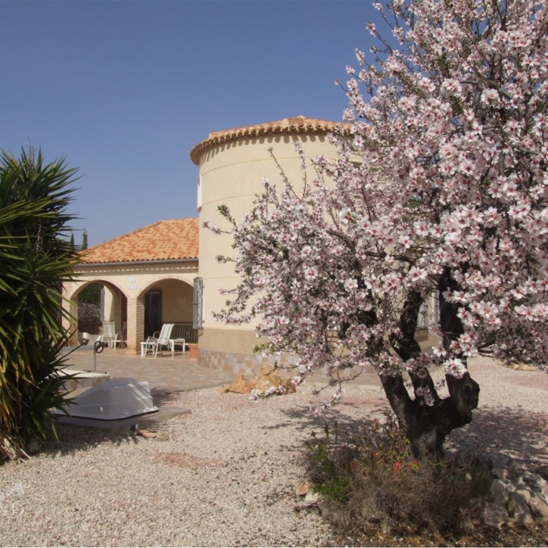 Villa in Fortuna (Ref: MP6558)