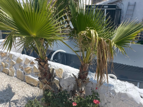 House in Ca&ntilde;ada del Trigo (Ref: MP6569)