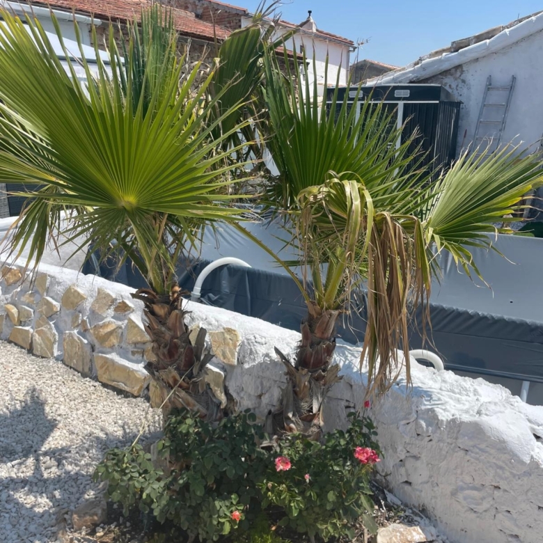 House in Ca&ntilde;ada del Trigo (Ref: MP6569)