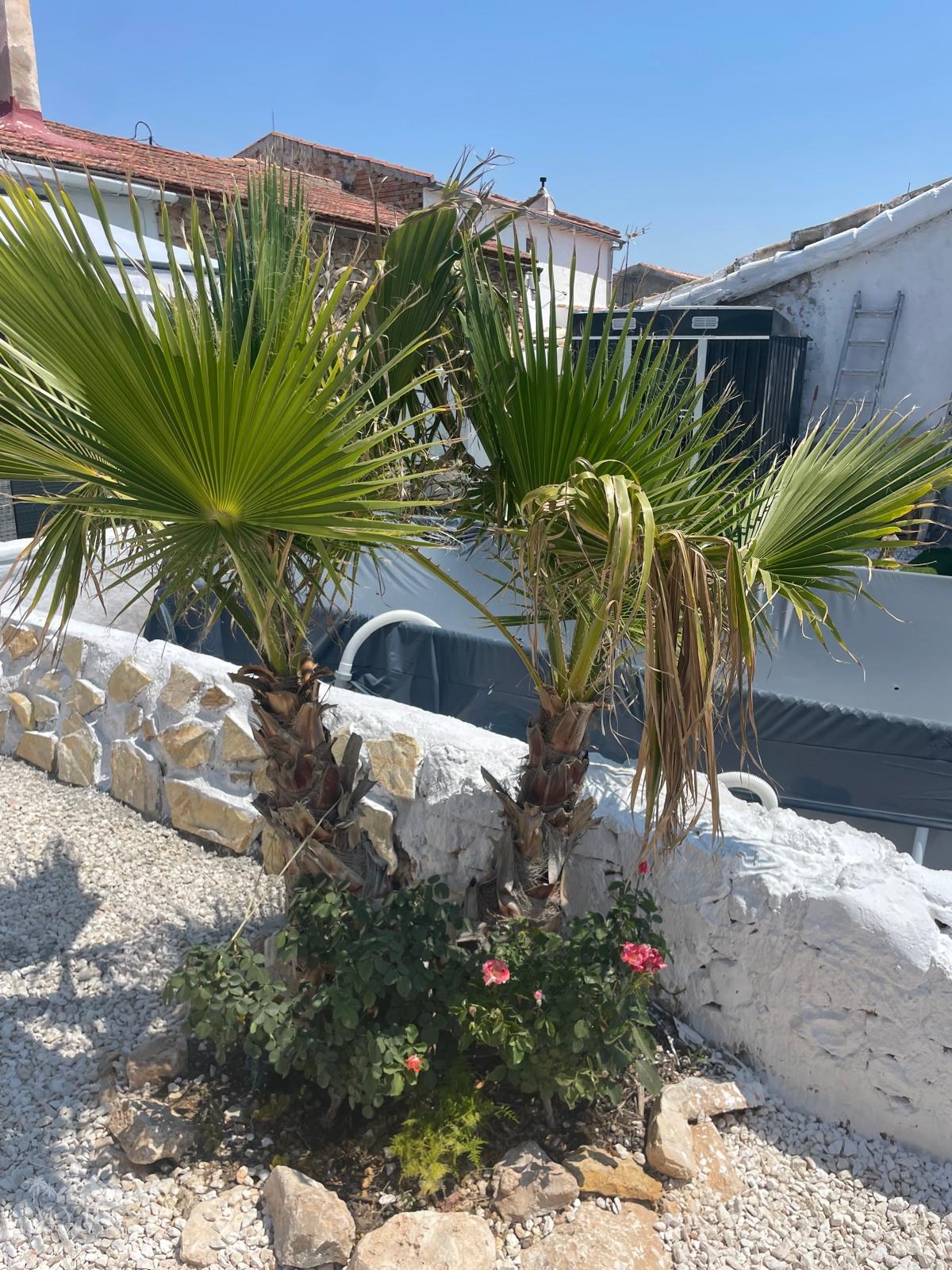 House in Ca&ntilde;ada del Trigo (Ref: MP6569)
