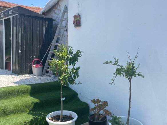 House in Ca&ntilde;ada del Trigo (Ref: MP6569)