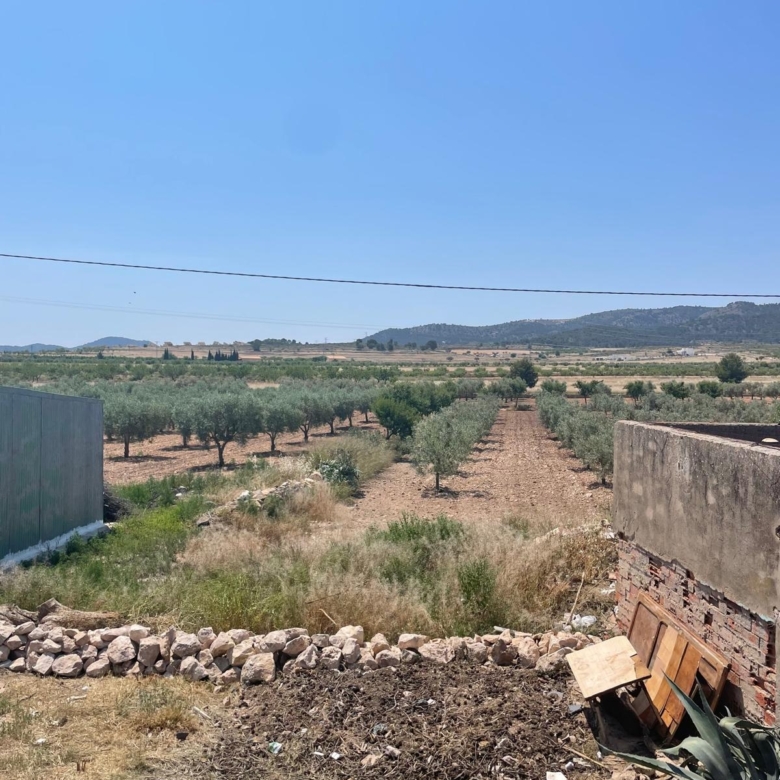 House in Ca&ntilde;ada del Trigo (Ref: MP6569)