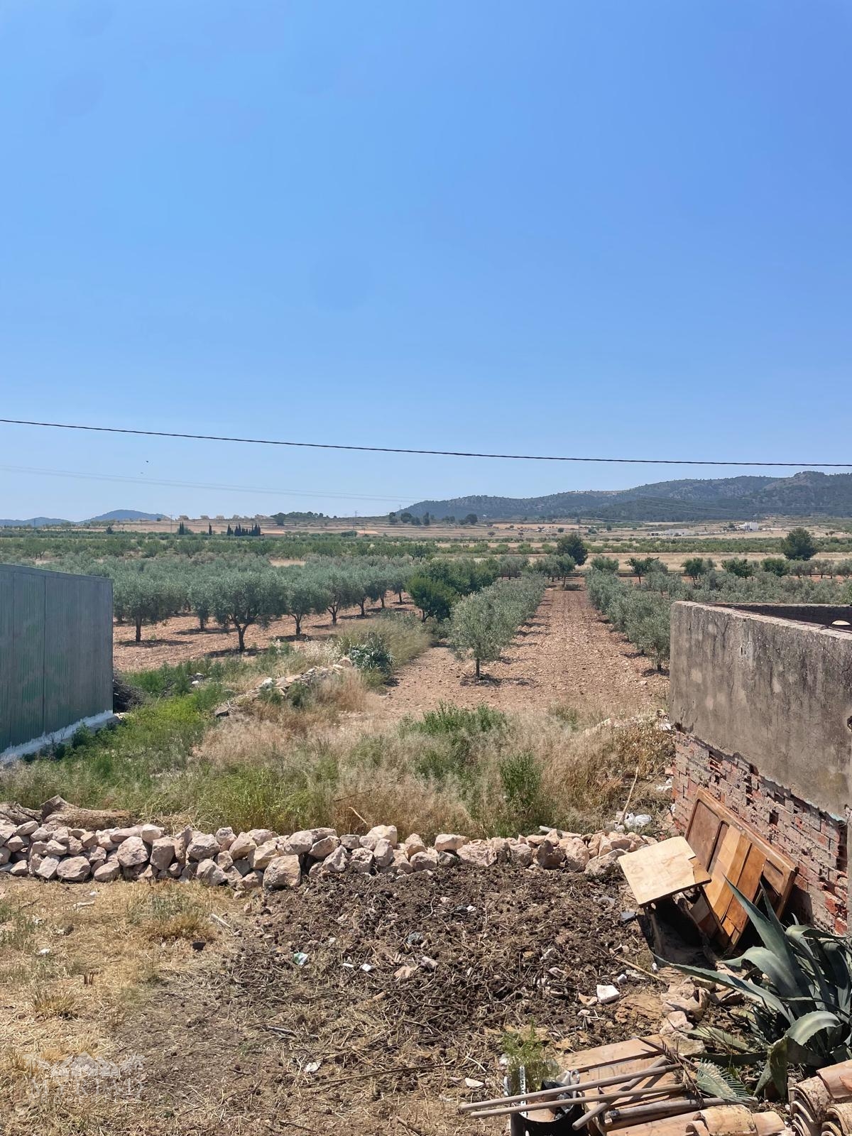 House in Ca&ntilde;ada del Trigo (Ref: MP6569)