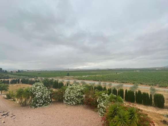 Villa in Pinoso (Ref: MP6610)