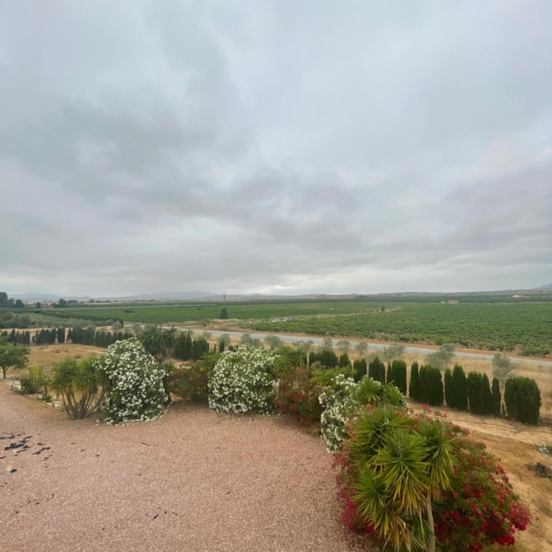 Villa in Pinoso (Ref: MP6610)