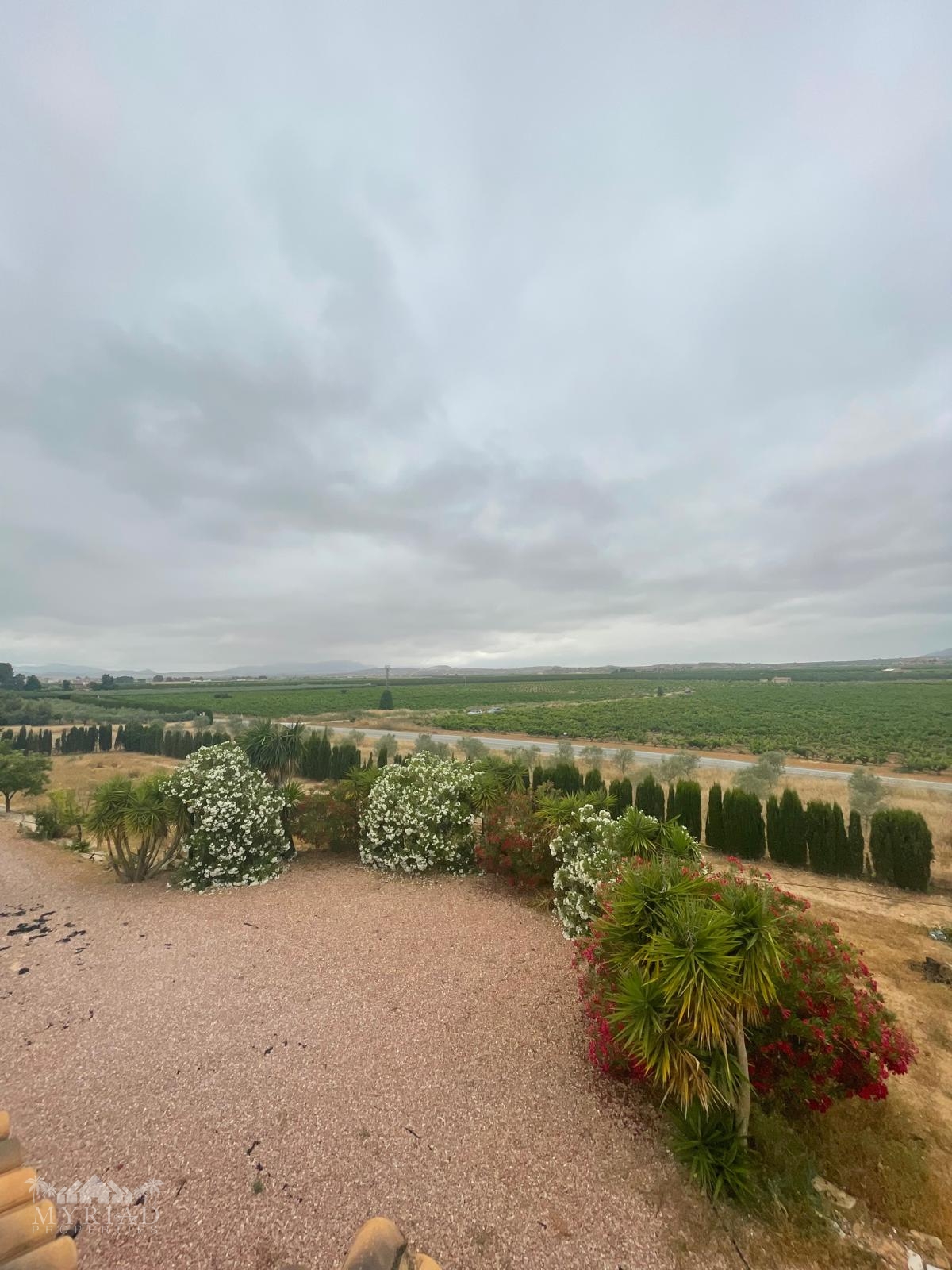 Villa in Pinoso (Ref: MP6610)