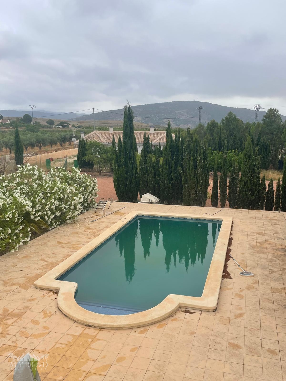 Villa in Pinoso (Ref: MP6610)