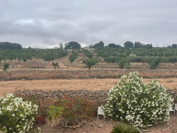 Villa in Pinoso (Ref: MP6610)