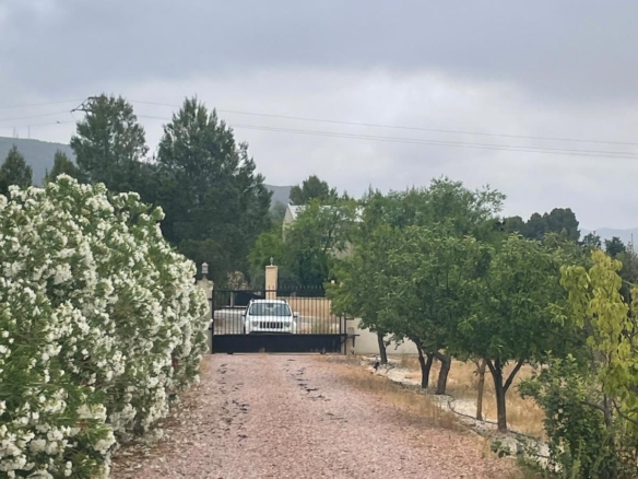 Villa in Pinoso (Ref: MP6610)