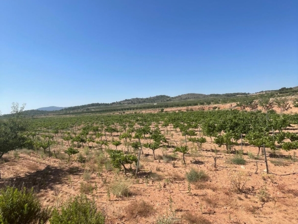 Land in &Uacute;beda (Ref: MP6614)