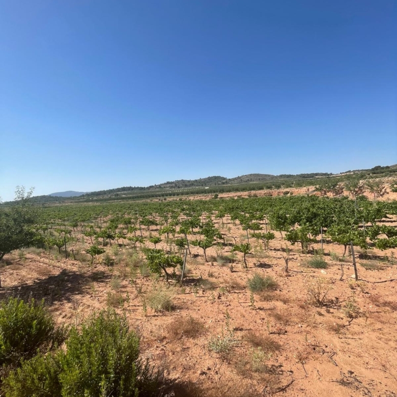 Land in &Uacute;beda (Ref: MP6614)