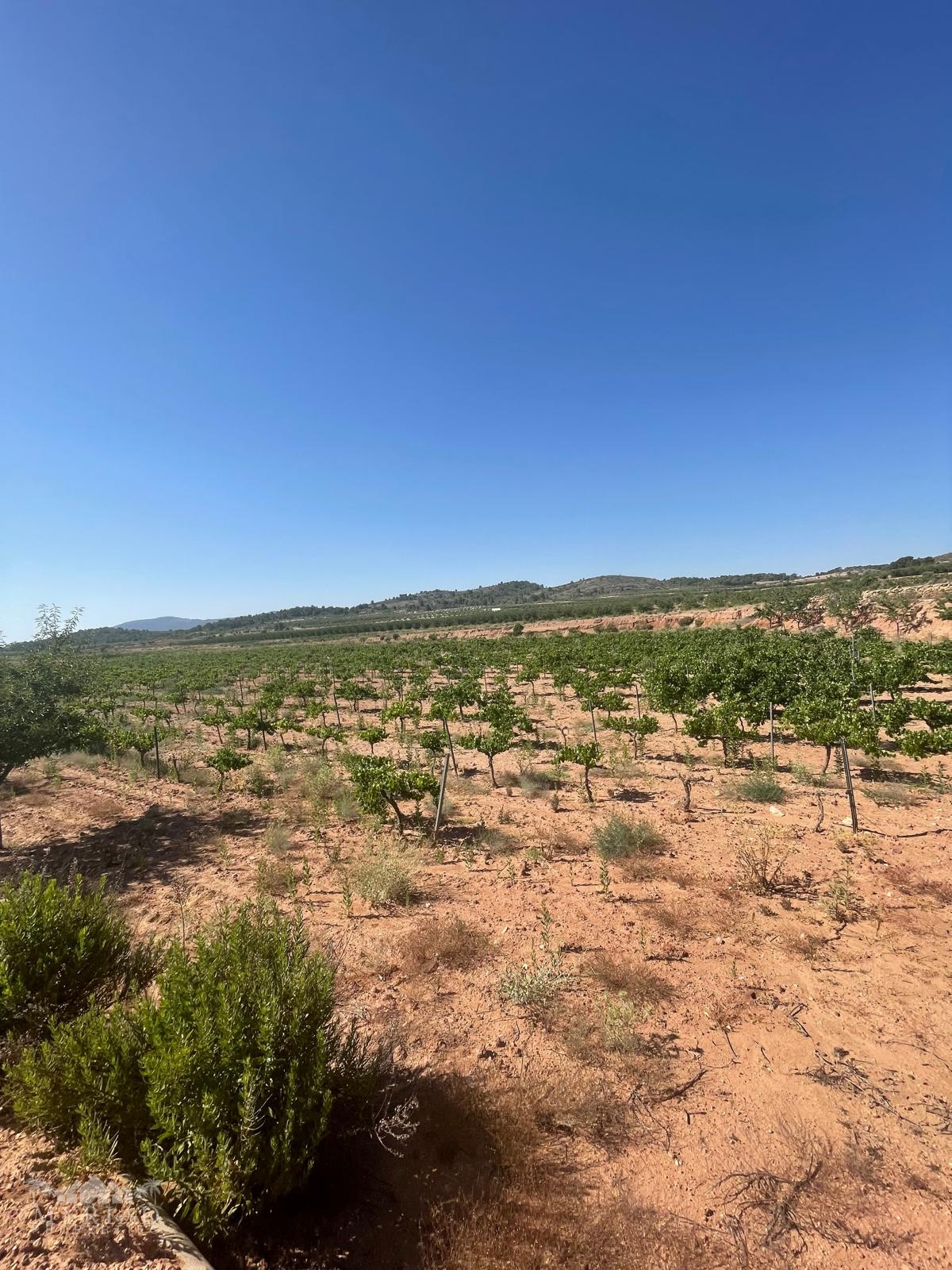 Land in &Uacute;beda (Ref: MP6614)