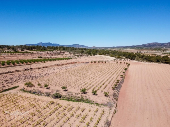 Land in &Uacute;beda (Ref: MP6614)