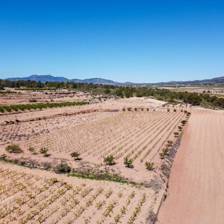 Land in &Uacute;beda (Ref: MP6614)