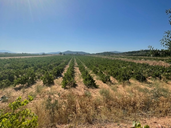 Land in &Uacute;beda (Ref: MP6614)