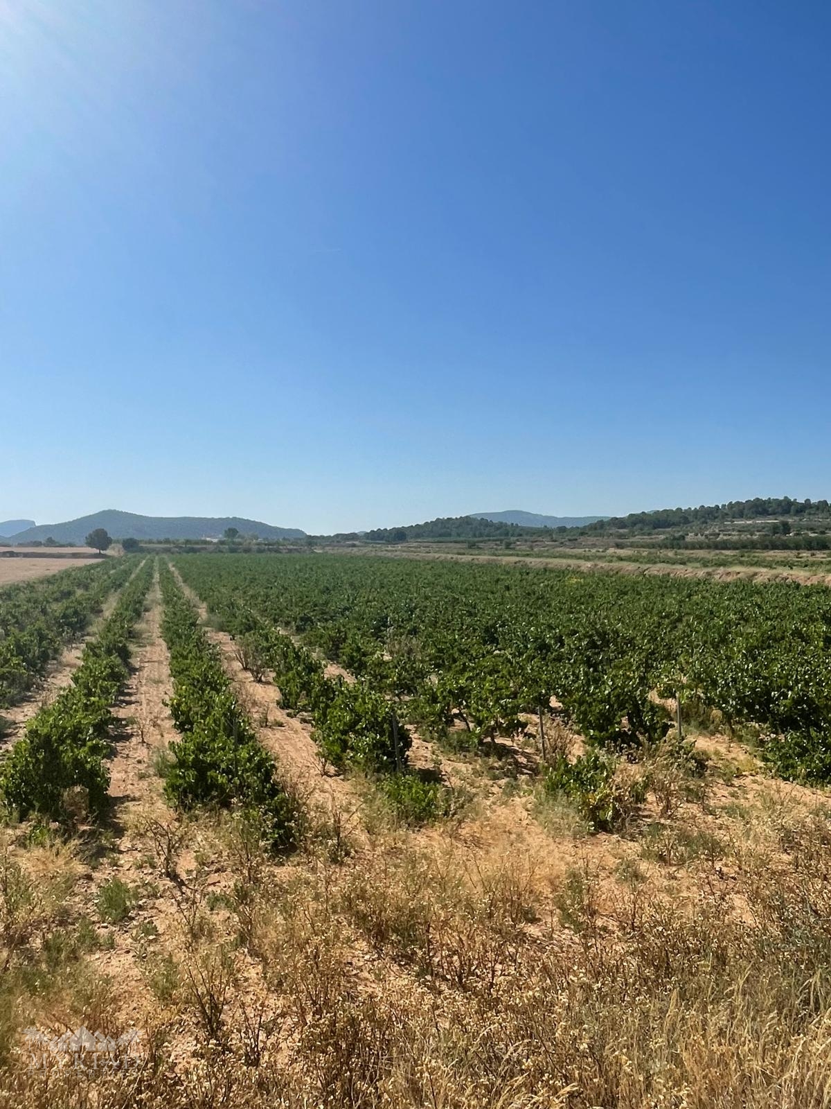 Land in &Uacute;beda (Ref: MP6614)