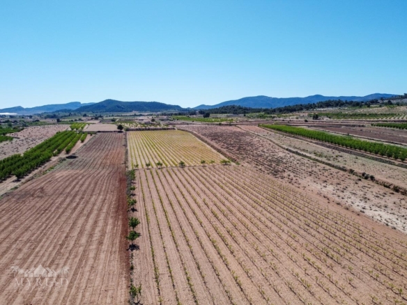 Land in &Uacute;beda (Ref: MP6614)