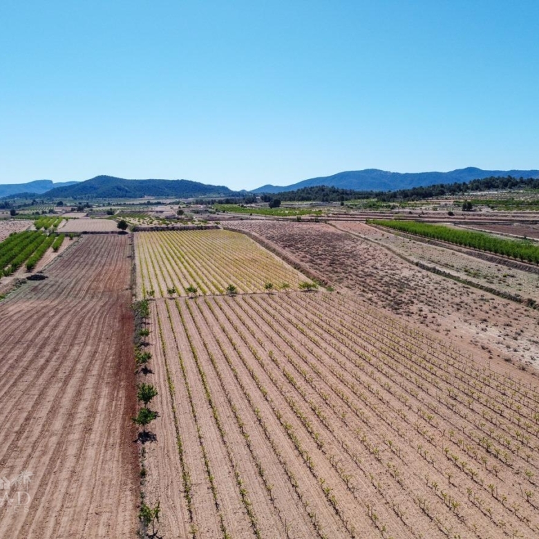 Land in &Uacute;beda (Ref: MP6614)