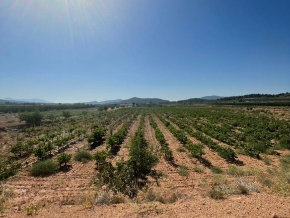 Land in &Uacute;beda (Ref: MP6614)