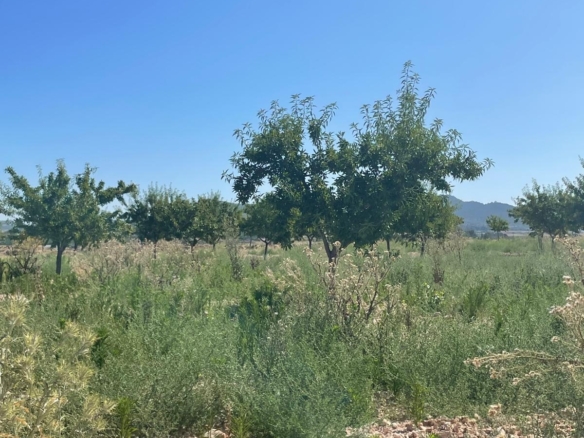Land in &Uacute;beda (Ref: MP6614)