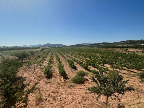 Land in &Uacute;beda (Ref: MP6614)