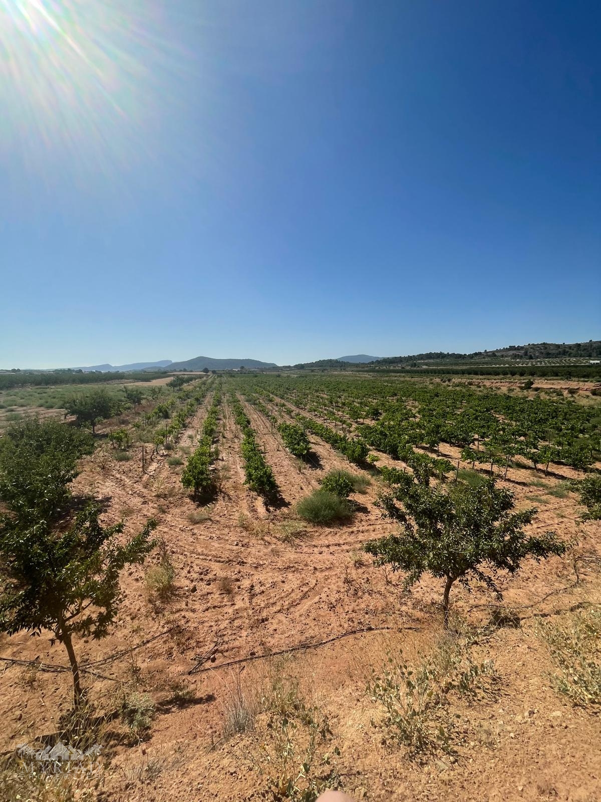 Land in &Uacute;beda (Ref: MP6614)