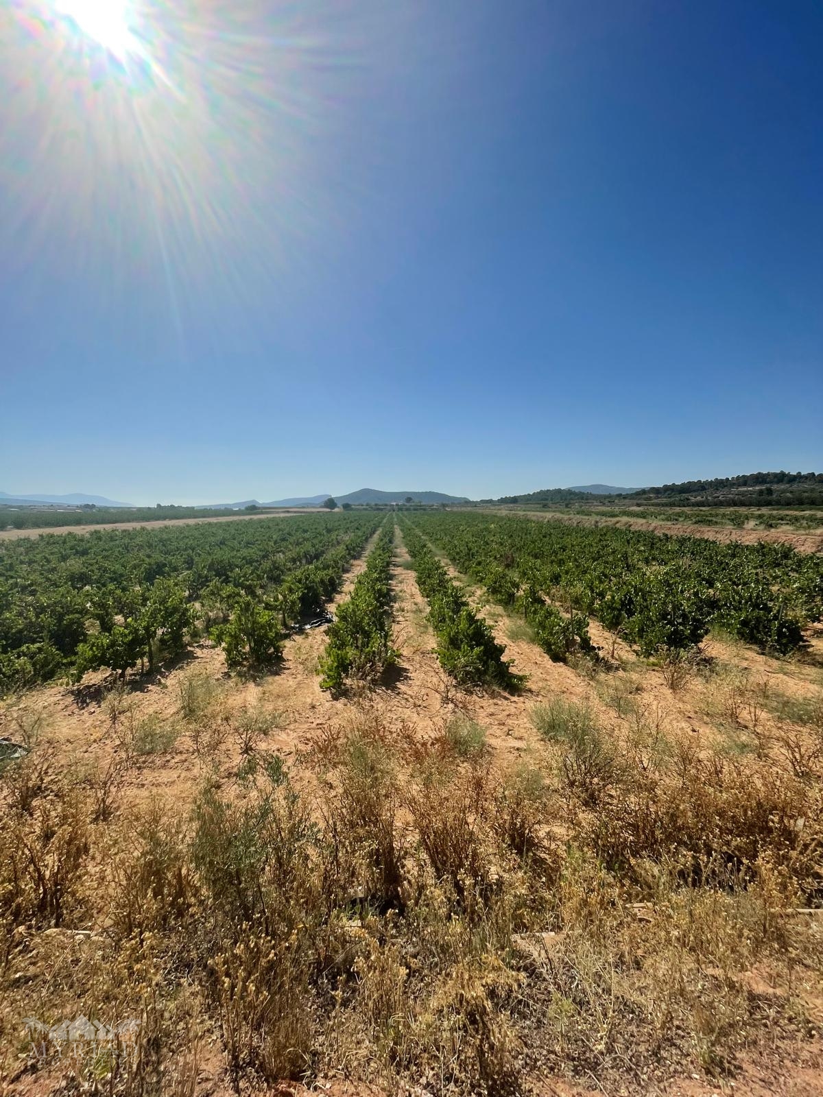 Land in &Uacute;beda (Ref: MP6614)
