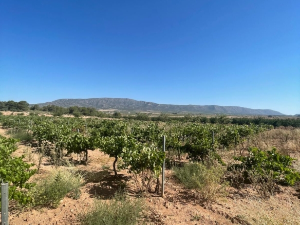 Land in &Uacute;beda (Ref: MP6614)