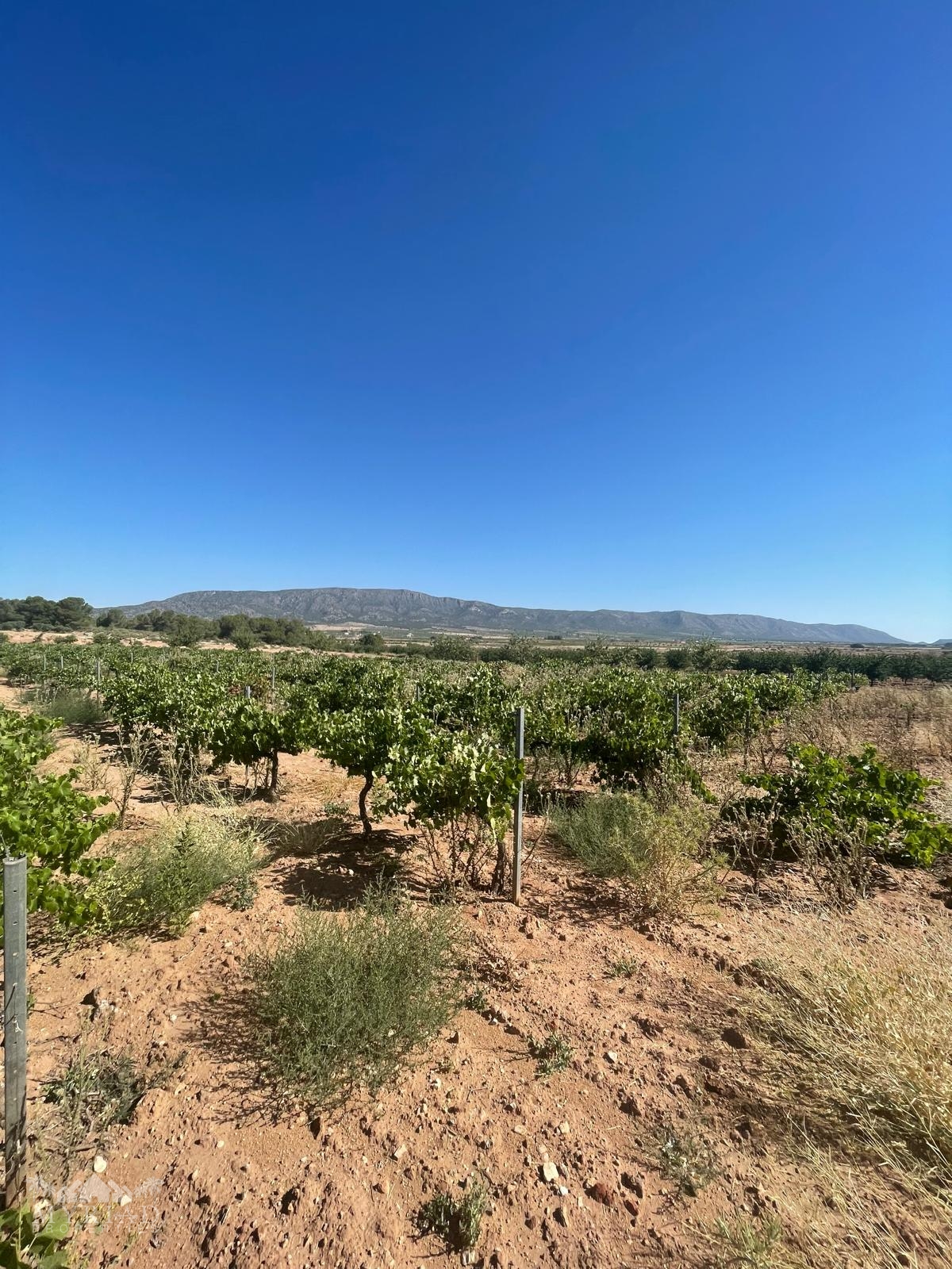 Land in &Uacute;beda (Ref: MP6614)