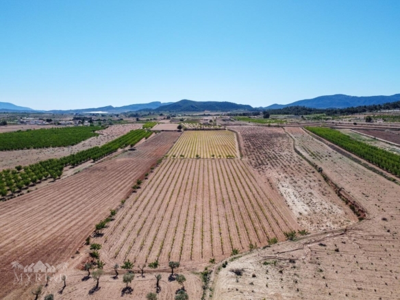 Land in &Uacute;beda (Ref: MP6614)