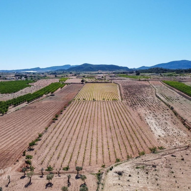 Land in &Uacute;beda (Ref: MP6614)